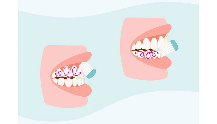 spazzolare denti frontali